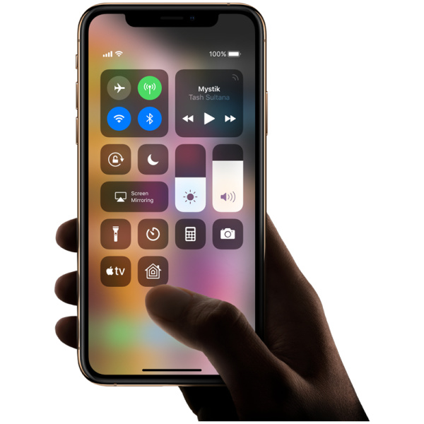 Apple iPhone XS 256GB GOLD Unlocked mixed versions L1 Tested
