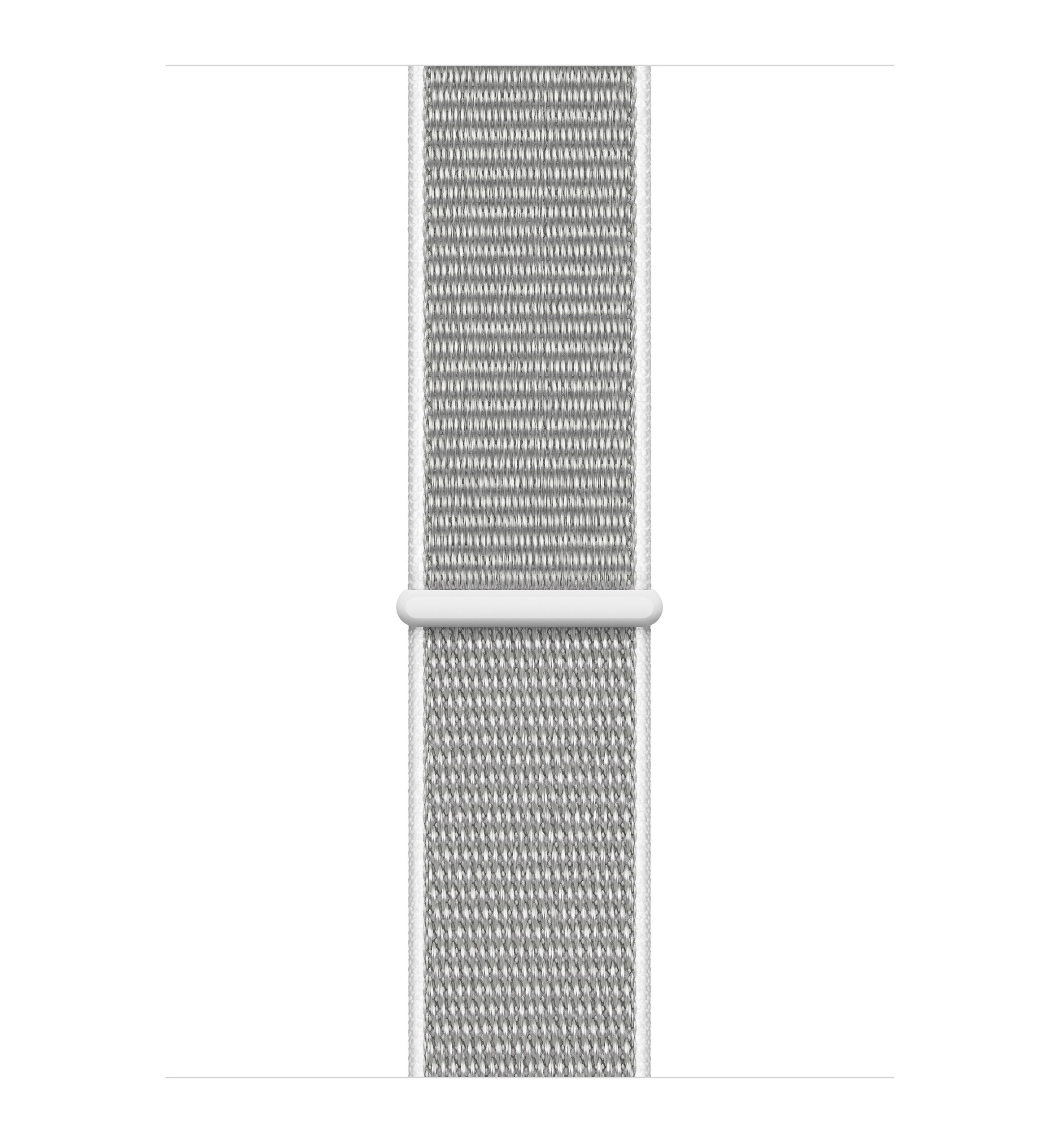 silver seashell sport loop