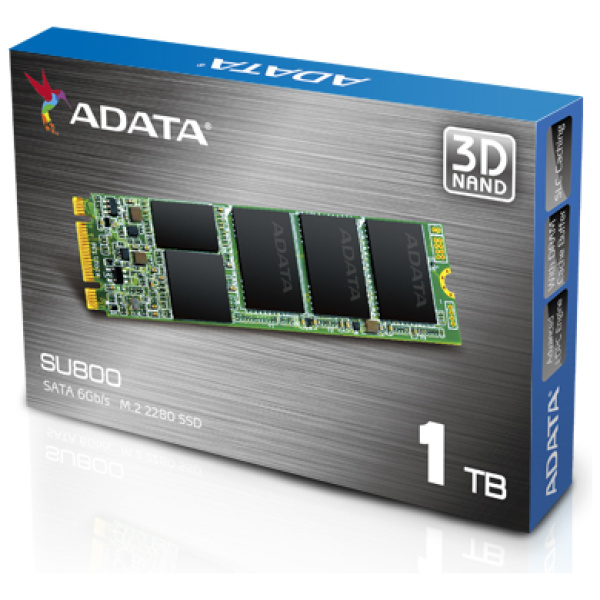 ADATA SU800NS38 1TB M.2 SATA 2280 SSD Read up to 550MB/s : Write