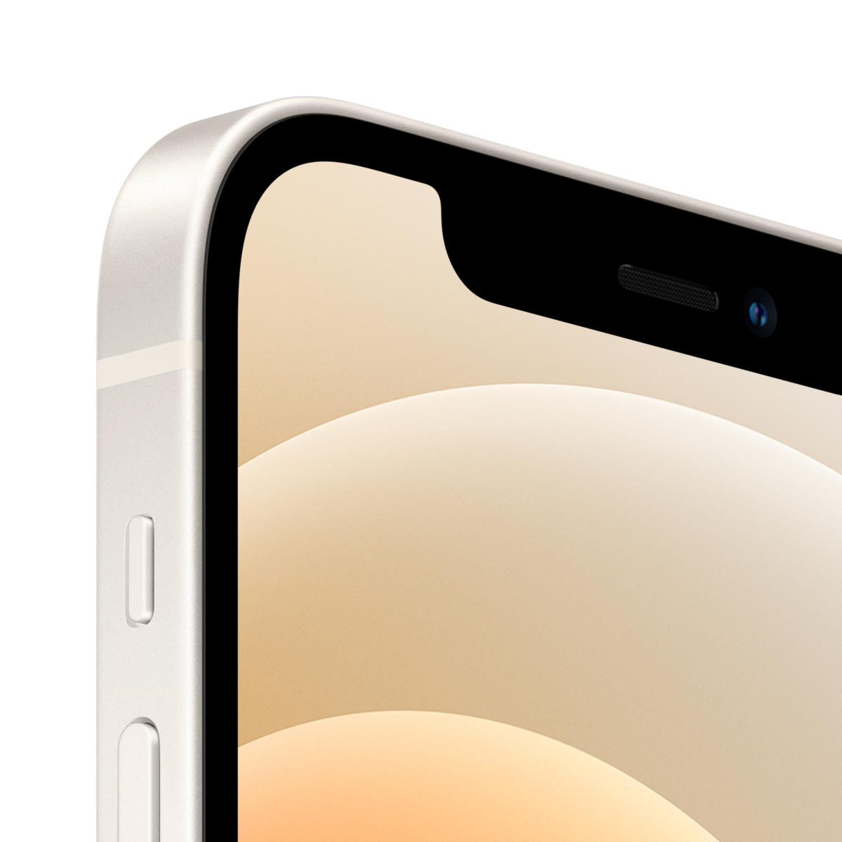 020300H iPhone12 A2403 64GB 【最大容量83%】 【公式通販】
