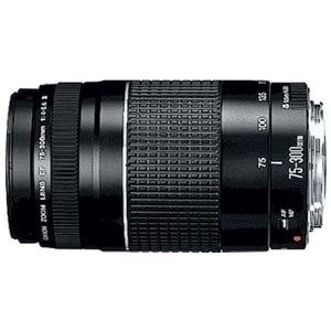 Canon EF 75-300mm f/4-5.6 III Lens - Image 3