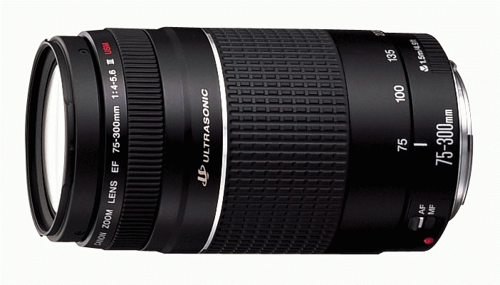 Canon EF 75-300mm f/4-5.6 III Lens - Image 2