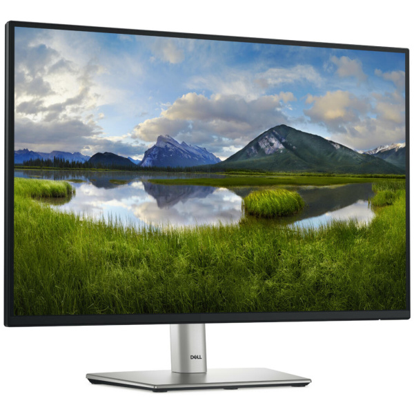 Dell P2425 GAMING 24" WUXGA (1920x1200) 100Hz 5ms 300 cd/m² 1500:1 USB-C™ HDMI DP USB3.0 IPS Adjustable Stand Monitor BLACK - Image 3