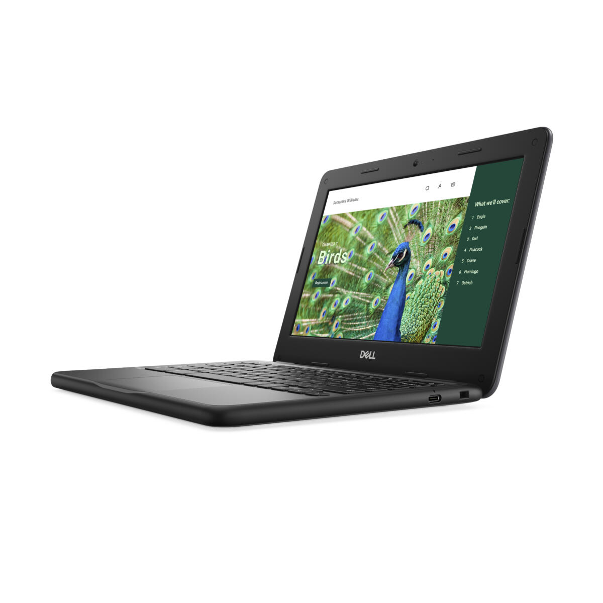Dell Chromebook 3120 Intel N100 64GB eMMC 4GB 11.6" (1366x768) TOUCHSCREEN Chrome OS 2.82 lbs. BLACK - Image 3