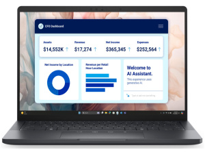 Dell Pro 13250 Core™ Ultra 7 268V 512GB SSD 32GB 13.3" (1920x1080) WIN11 Pro Backlit Keyboard FP Reader 0.7" thin, 2.36 lbs. TITAN GRAY