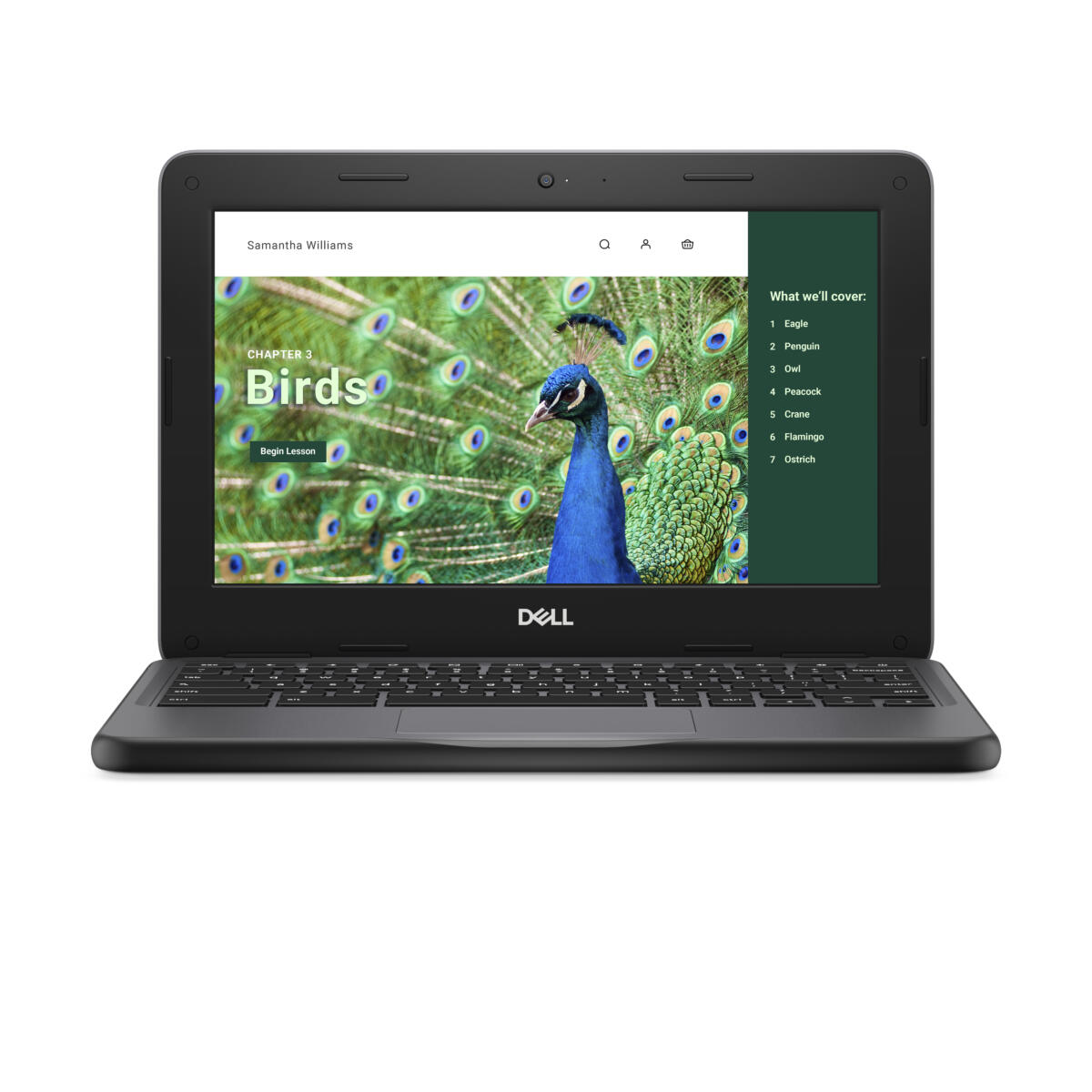 Dell Chromebook 3120 Intel N100 64GB eMMC 4GB 11.6" (1366x768) TOUCHSCREEN Chrome OS 2.82 lbs. BLACK