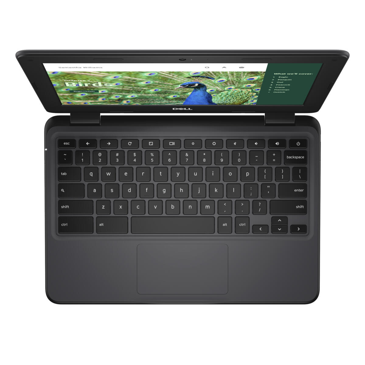 Dell Chromebook 3120 Intel N100 64GB eMMC 4GB 11.6" (1366x768) TOUCHSCREEN Chrome OS 2.82 lbs. BLACK - Image 5