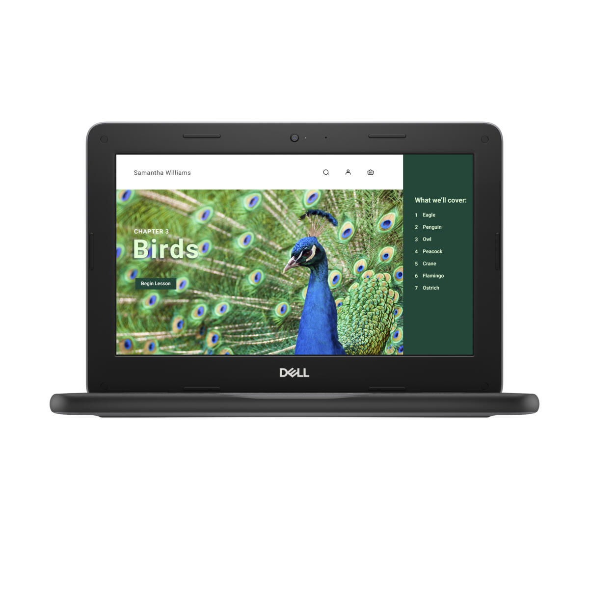 Dell Chromebook 3120 Intel N100 64GB eMMC 4GB 11.6" (1366x768) TOUCHSCREEN Chrome OS 2.82 lbs. BLACK - Image 2