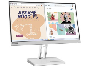 Lenovo L22e-40 21.5" (1920x1080) CLOUD GRAY Monitor
