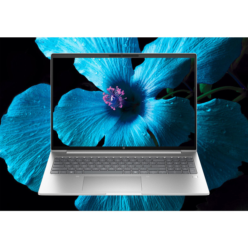 HP ProBook 4 G1a Ryzen™ 5 230 256GB SSD 16GB 16" WUXGA (1920x1200) IPS WIN11 Pro PIKE SILVER Backlit Keyboard - Image 5